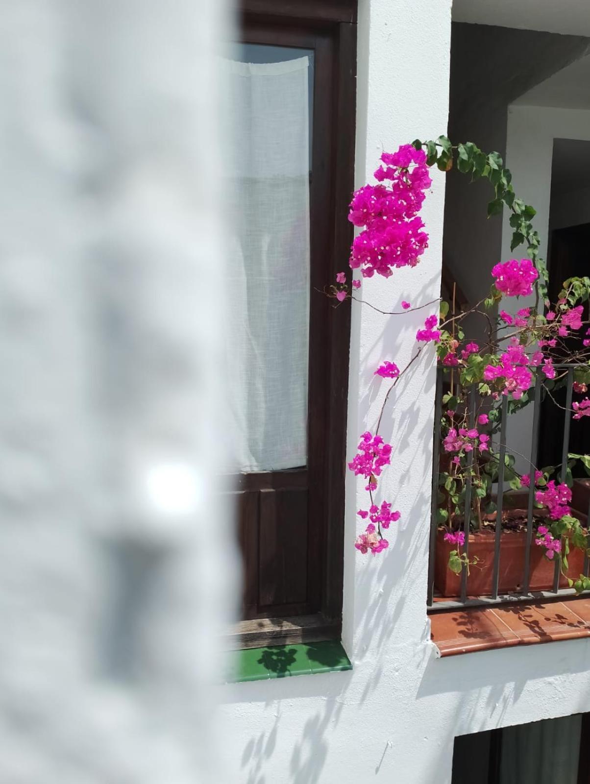 Claustro Home Casco Historico กอร์โดบา ภายนอก รูปภาพ